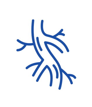 Dr. Olivier Lesceu Logo